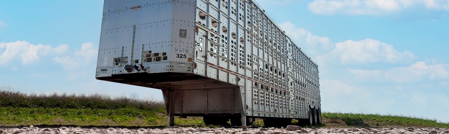 2021 Heavy Duty Utility Trailer for sale in Active Trailers, Jackson, Minnesota